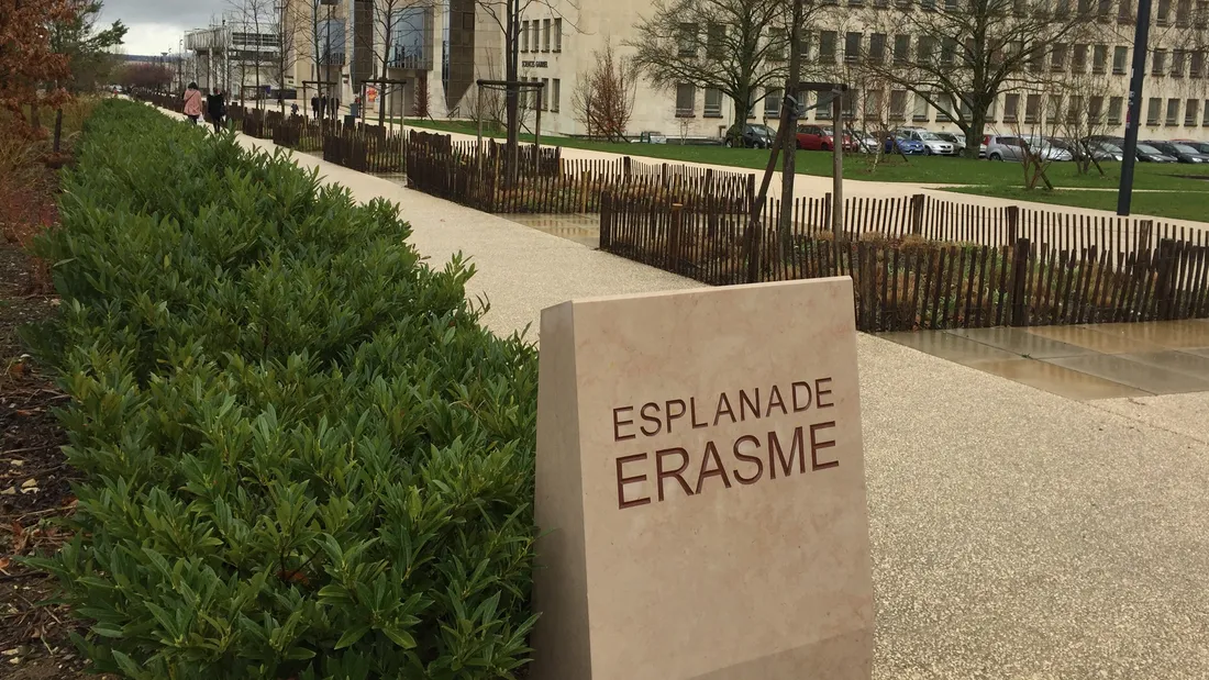 Dijon : le quartier Université en fête ce samedi